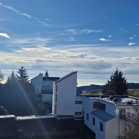 Sauna, Pools Mit Xxl-terasse Oder Kinderkino Sankt Englmar