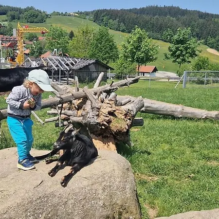Sauna, Pools Mit Xxl-terasse Oder Kinderkino Appartamento *