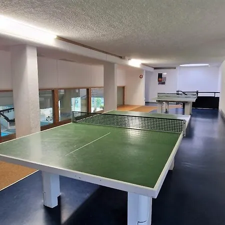 Apartment Sauna, Pools Mit Xxl-terasse Oder Kinderkino Sankt Englmar