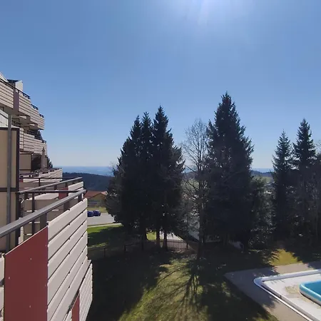 Sauna, Pools Mit Xxl-terasse Oder Kinderkino * Sankt Englmar