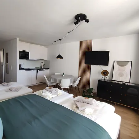 Sauna, Pools Mit Xxl-terasse Oder Kinderkino Apartment Sankt Englmar