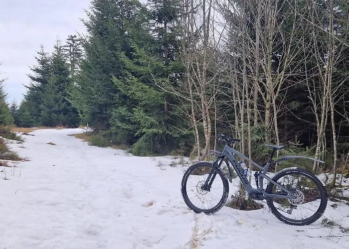 Sauna, Pools Mit Xxl-terasse Oder Kinderkino Apartment Sankt Englmar