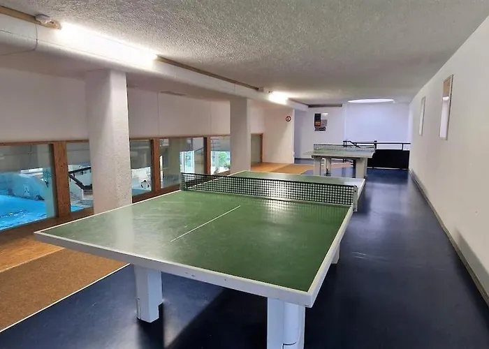 Apartment Sauna, Pools Mit Xxl-terasse Oder Kinderkino